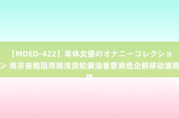 【MDED-422】単体女優のオナニーコレクション 南非奋勉阻滞搁浅货轮漏油　看管濒危企鹅移动道路