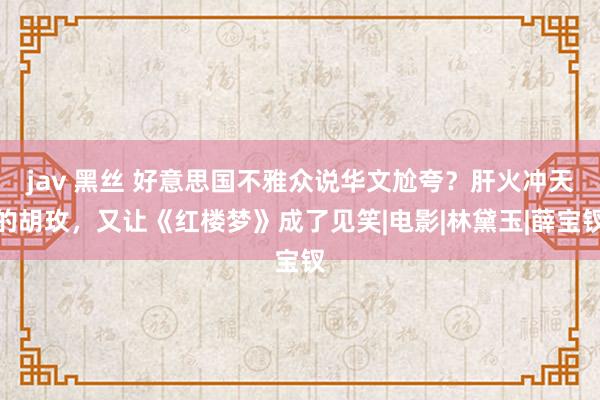 jav 黑丝 好意思国不雅众说华文尬夸？肝火冲天的胡玫，又让《红楼梦》成了见笑|电影|林黛玉|薛宝钗