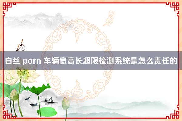 白丝 porn 车辆宽高长超限检测系统是怎么责任的