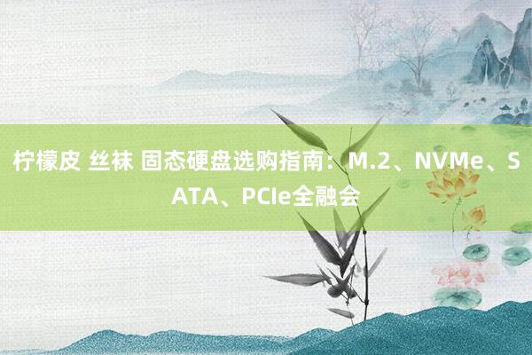 柠檬皮 丝袜 固态硬盘选购指南：M.2、NVMe、SATA、PCIe全融会